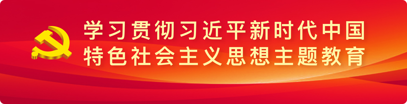 学习贯彻习近平新时代中国特色社会主义思想主题教育