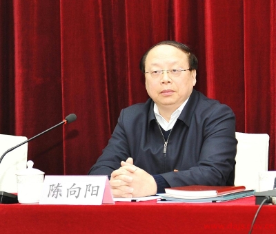 省档案馆馆长陈向阳